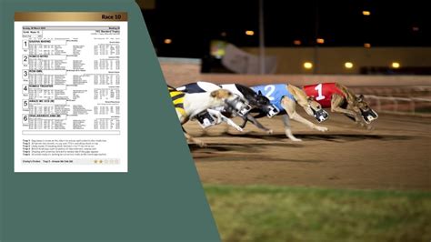 shelbourne greyhound results today.
